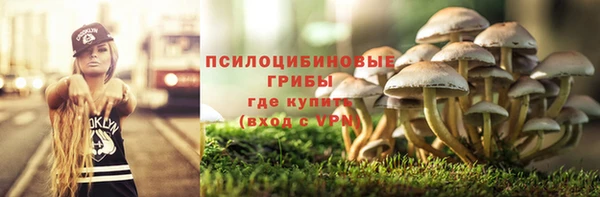 твердый Покровск