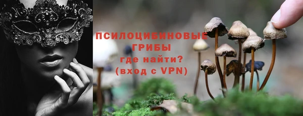 ПСИЛОЦИБИНОВЫЕ ГРИБЫ Покров