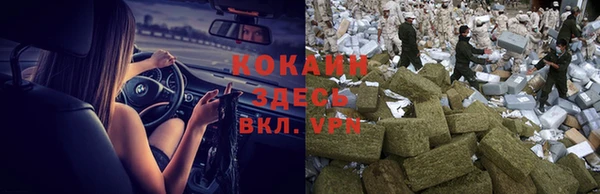 прущие грибы Протвино
