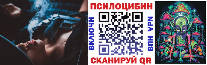 ОМГ ОМГ ТОР  купить   Чишмы  Галлюциногенные грибы Psilocybine cubensis 